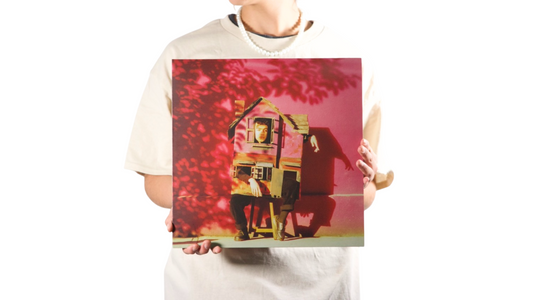 la casa que cae - La Texana (VINYL)